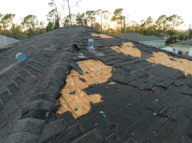 Sheet Metal Roofing in Frisco, CO